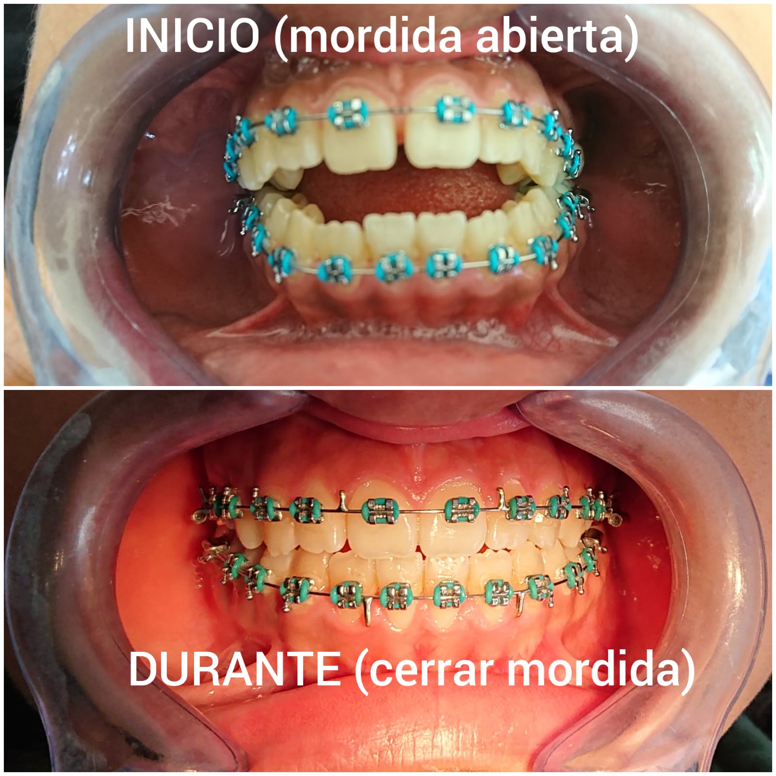 Consultorio de Especialidad Dental en Tlalpan CDMX